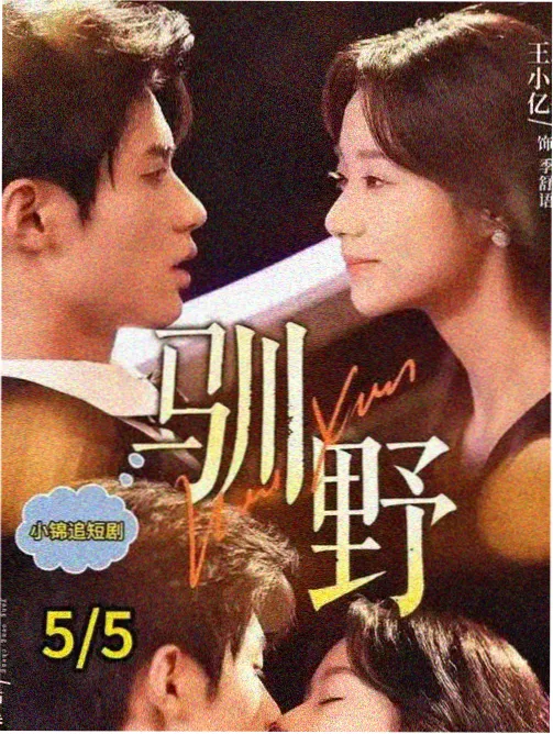 野狗骨头的电视剧 第一季